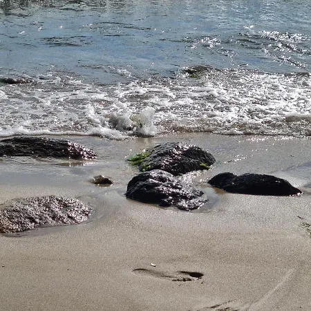 Kwatera Nad Morzem Orlowo Apartamento *