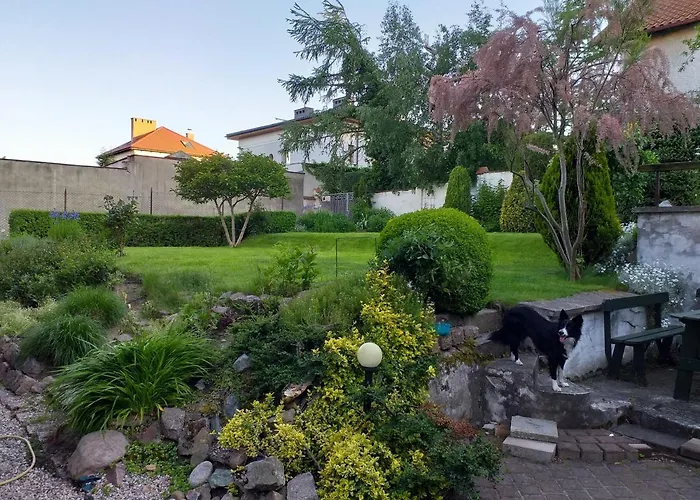 Kwatera Nad Morzem Orlowo *