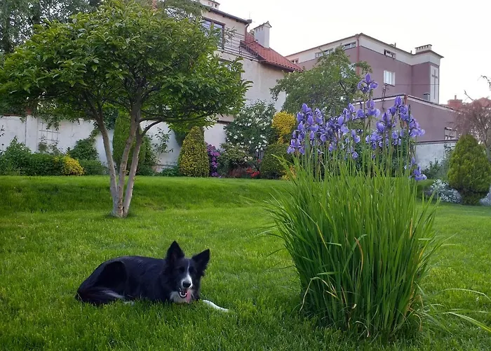 Daire Kwatera Nad Morzem Orlowo *